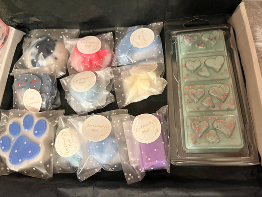 Wax melt sample box